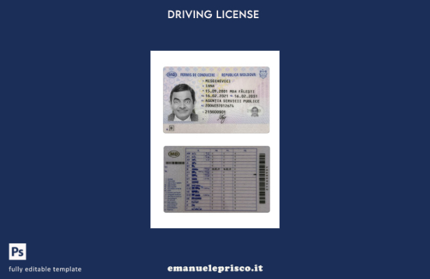 verified style modello presente patente di guida Moldavia stile verificato template